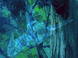 external image lati_invisible.jpg